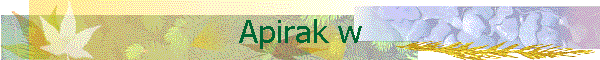 ѡ ǧ