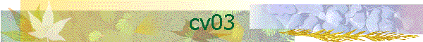 êҵ ѹ