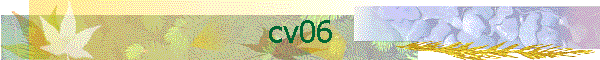 زѡ آġ