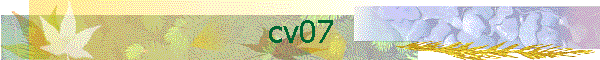ط ͧ